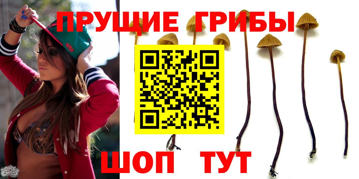 Псилоцибиновые грибы прущие грибы Красный Сулин